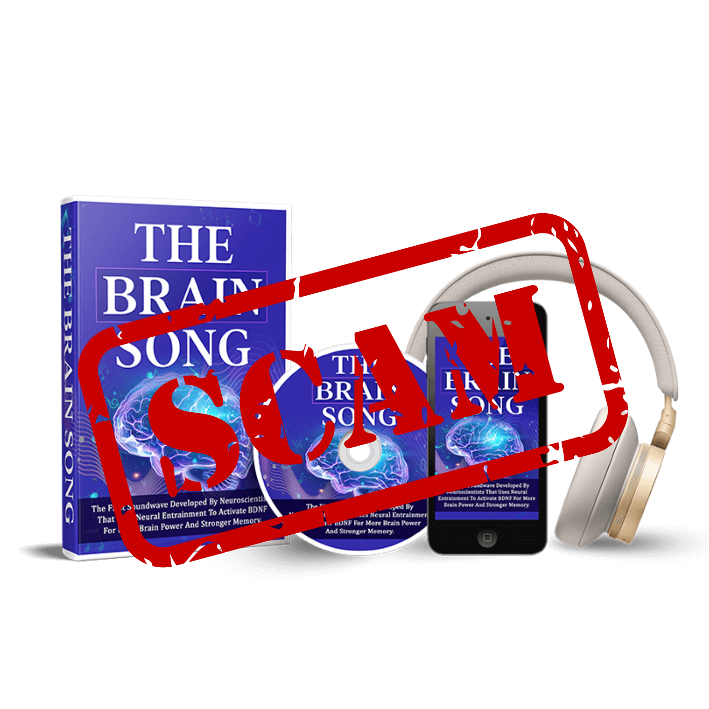 Brain Song Scam Warning